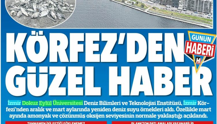 2. hürriyet_profdresinsuzenkörfez_2.05.25